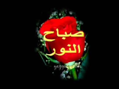 صباح نور - صباح مشرق بالامل 4946 8