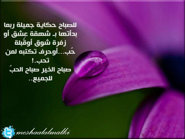 صباح الخير وكل الخير - صور صباح الخير رائعه 5134 1