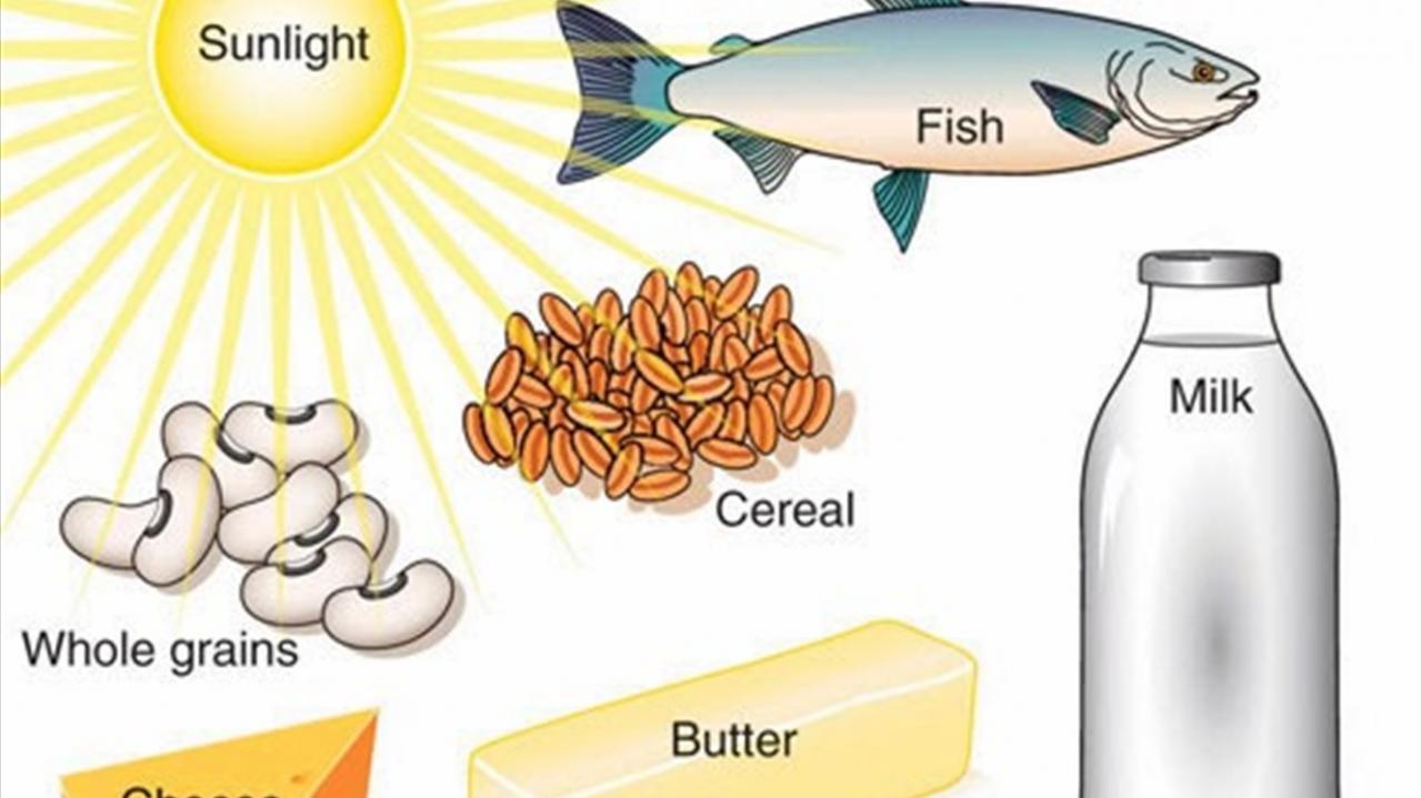 اين يوجد فيتامين د - مصادر الحصول على فيتامين د 3472 2