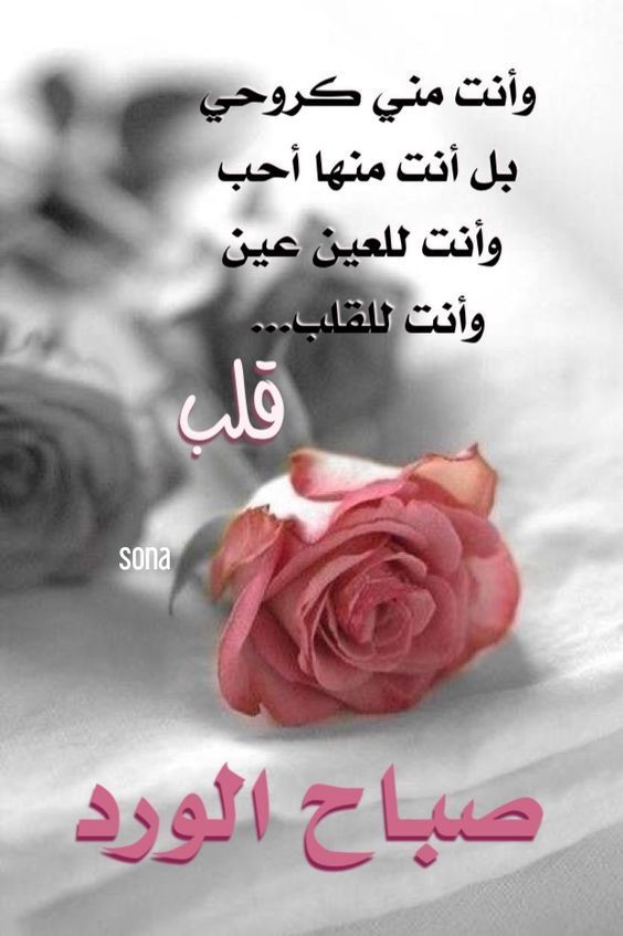 صباح الخير صور 6488 17