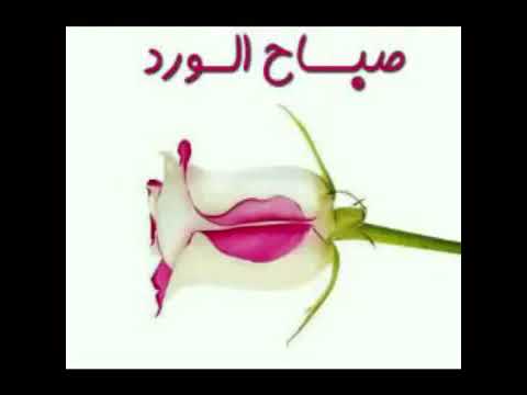 صور صباحيات - كلمات صباحيه رقيقه 4759 6