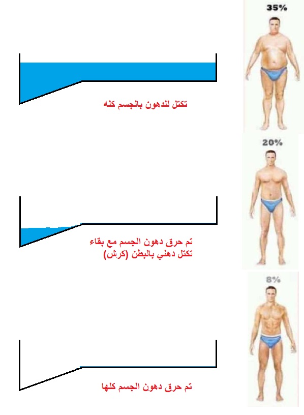 كيف تزيل الكرش - وصفات رائعه لتخسيس الكرش 11831 3