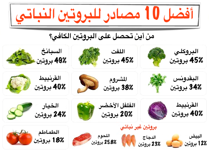 افضل نظام غذائي , نظام غذائى افضل للتخسيس