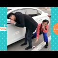 0 29 فيديو مضحك للكبار - اجمل الفيديوهات المضحكة 2019 عربجيه