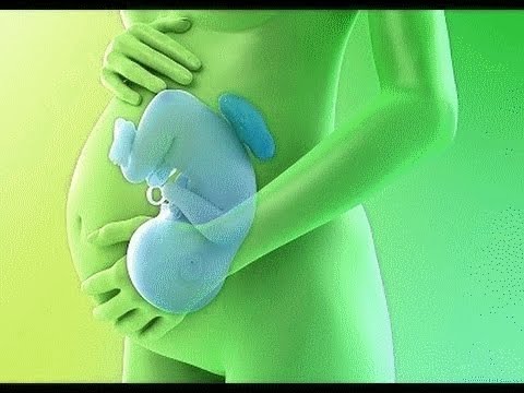 4886 2 اعراض الحمل بولد - كيف تتعرفي علي نوع الجنين ميساء قحطان