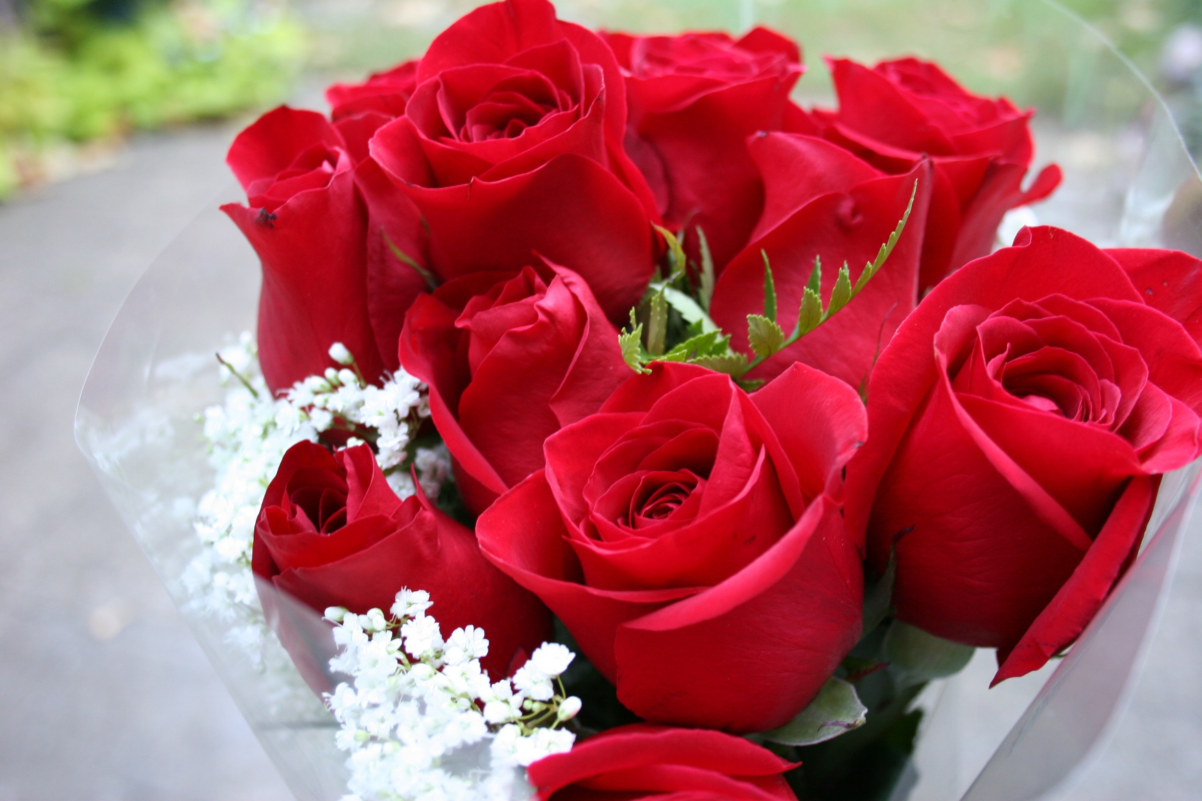 اجمل بوكيه ورد اجمل الورود 2020 عيون الرومانسية